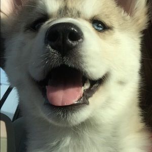 Meet your Posher, Karry ann